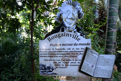 Cliquez sur la vignette pour l'agrandir